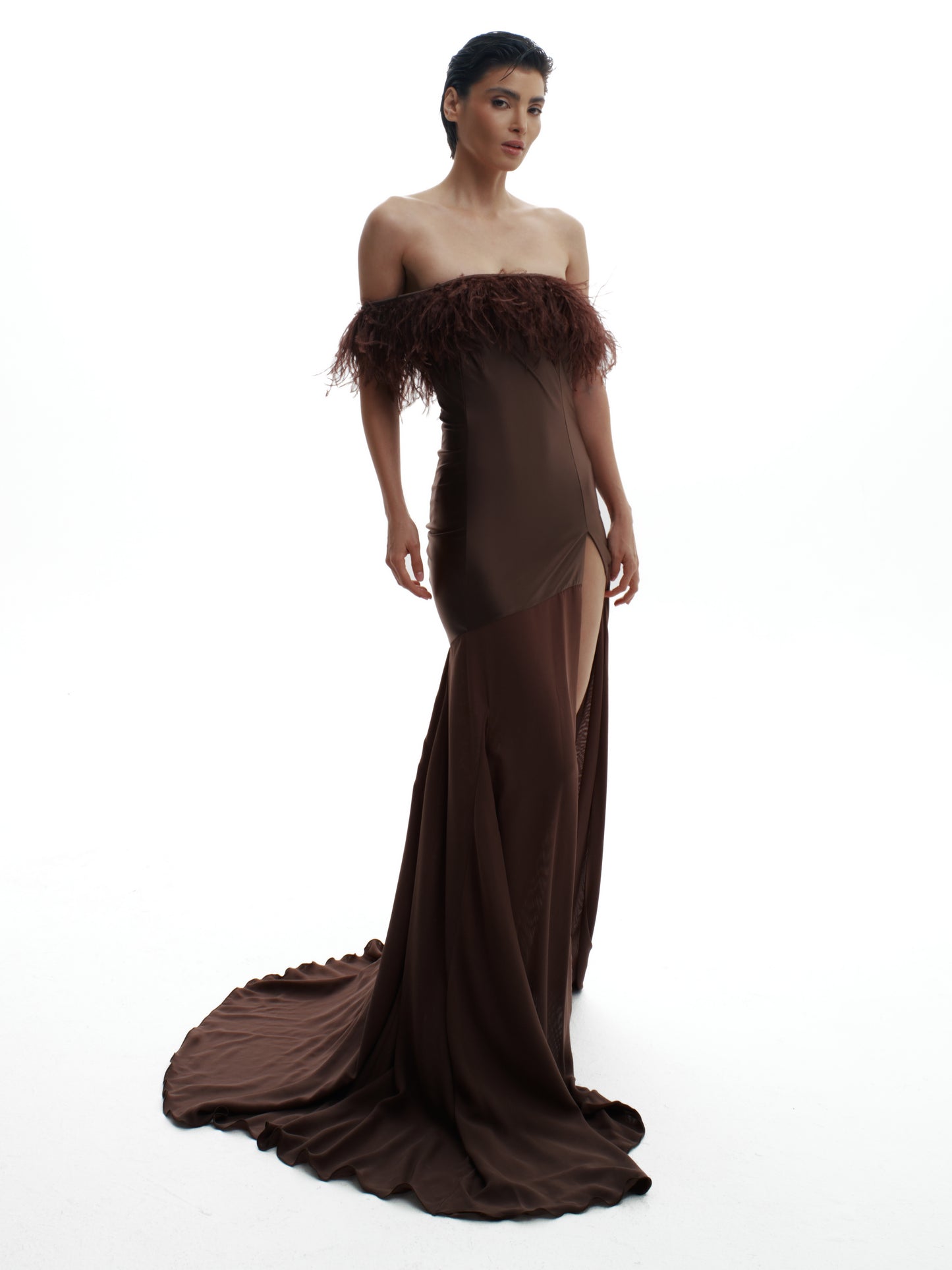 OUT OF HIS BUDGET - BROWN